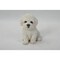 Hi-Line Gifts 6" White Bichon Frise Puppy Outdoor Garden Figurine